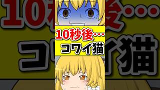 泣いているネコ、１０秒後に怖いネコに！？ #shorts #ゆっくり茶番 #ゆっくり茶番劇