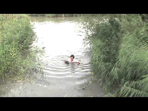 Dogsurvival Barendrecht 2013