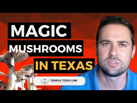 Magic Mushrooms in Texas: What You MUST Know! 🍄⚖️Attorney Charles Zavala Explains