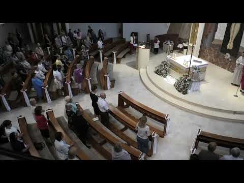 JKS 217: Duchu Svätý príď z neba (Zoslanie Ducha Svätého, 2025)