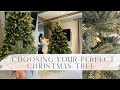 CHOOSING YOUR PERFECT CHRISTMAS TREE Come And See My New Living Room Christmas Tree
