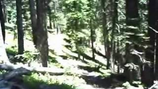 Palisades Campground Williams Creek Pagosa Spring CO