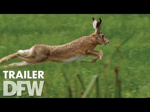 Holland: Natuur In De Delta (2015) Trailer