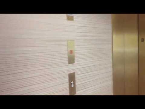 Dover/Marshall Oildraulic Marquis Elevators - Foster Plaza 11 - Green Tree, PA