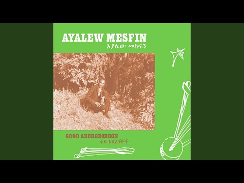 Yewofie Birr Abeba / Indet Nesh Belulign