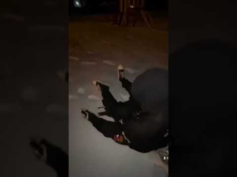 don’t ever go to the park with a destroy lonely fan 😭 #destroylonely #opium #fyp #funny #viral