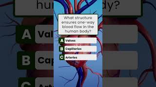 Ultimate General Knowledge Quiz! #triviagame