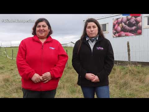 Día del Campesino 2020- CHILCOOP -Isla Lemuy-Puqueldón