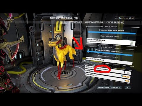 How To Get A Vasca Smeeta [Full Guide] | Warframe