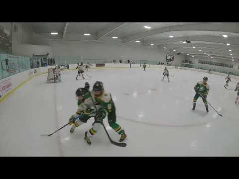 (Mar 23) vs U14 AA Green
