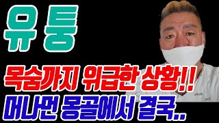 유퉁 한동안 안 보이더니.. 타국에서 제 몸도 돌보지 못하고 video