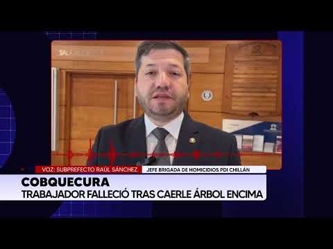 Trabajador muere tras caerle un árbol durante faenas forestales en Cobquecura: PDI investiga