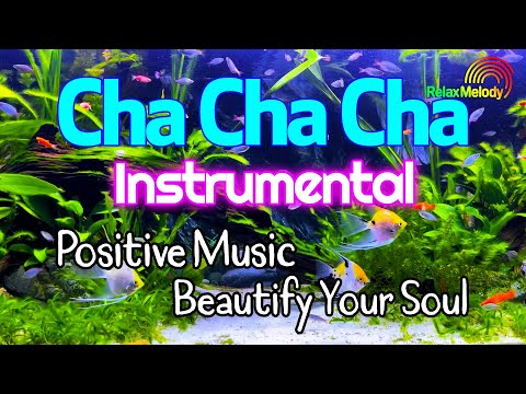 Cha Cha Cha Melody Instrumental For Relaxation, Positive Music Beautify Your Soul And Stress Relief