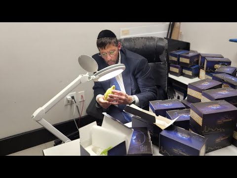 Exclusive Pre-Selected Daled Minim Sets at Chestnut Shul: Special Interview with Yisrael M.Rosenthal