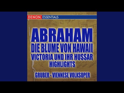 Viktoria und ihr Husar: Meine Mama war aus Yokohama
