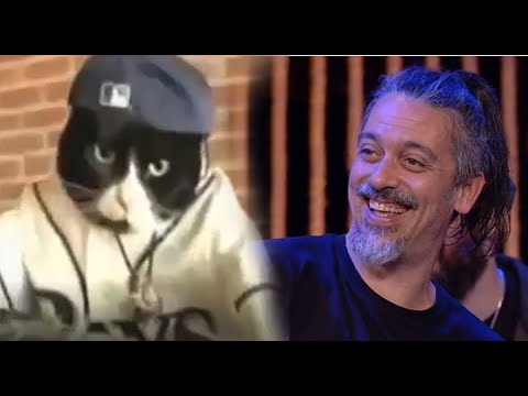 "Gatto Matto", la "hit" di Roberto Angelini "ballata" dai gatti...