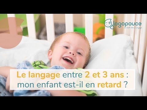 Entre 2 et 3 ans : Retard de langage ou développement "normal" ?