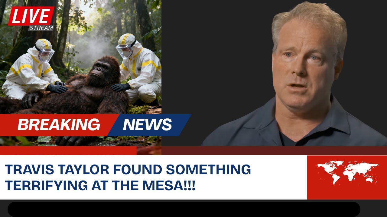 YouTube Thumbnail Downloader FULL HQ IMAGE