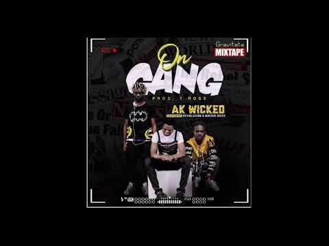 AK ft Revoluxon x Nuchie Meek  On Gang