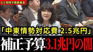 【補正予算3.1兆円】中東情勢に2.5兆円!?片山財務大臣が明かす予算の中身