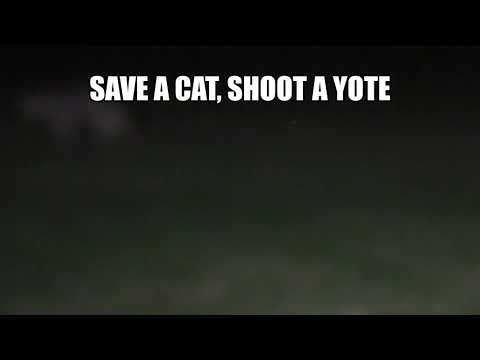 Save a cat, shoot a coyote