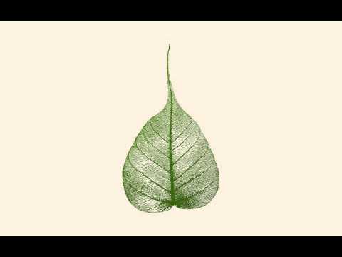 130418 The Protection of Shame \ \ Thanissaro Bhikkhu \ \ Short Dhamma Talk