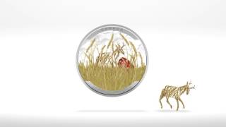 Royal Canadian Mint - Animal illusion, Pronghorn