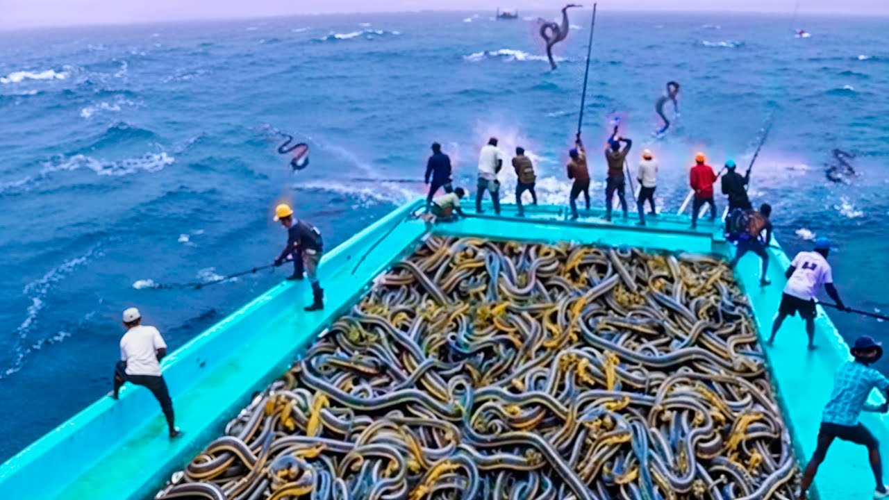 MOST DANGEROUS JOBS THAT CAN MAKE YOU MILLIONS IN A YEAR