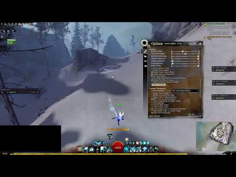 WvW important settings