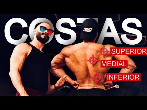 PERFECT BACK WORKOUT: LOWER, MIDDLE, AND UPPER BACK