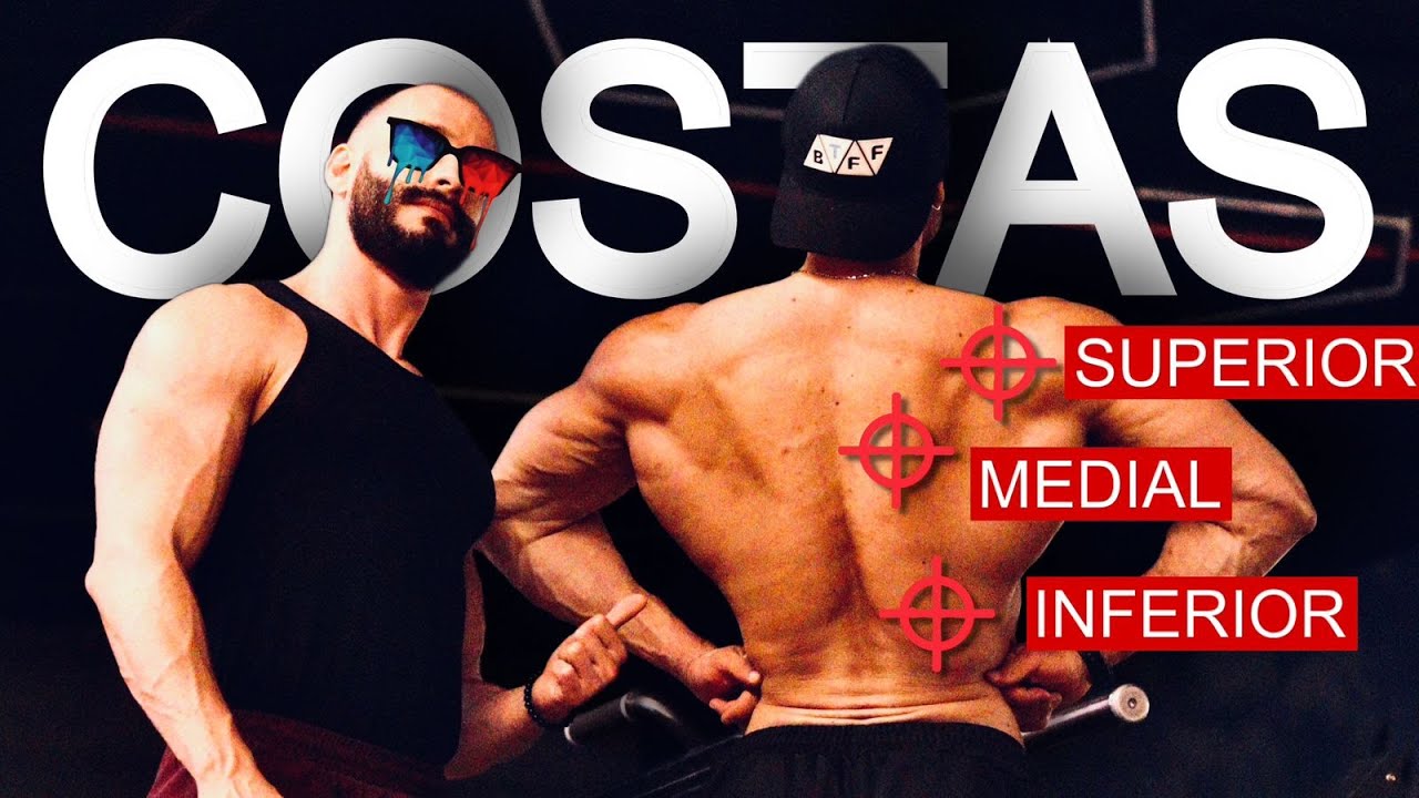 TREINO DE COSTAS PERFEITO: PARTE BAIXA, MÉDIA E SUPERIOR DAS COSTAS