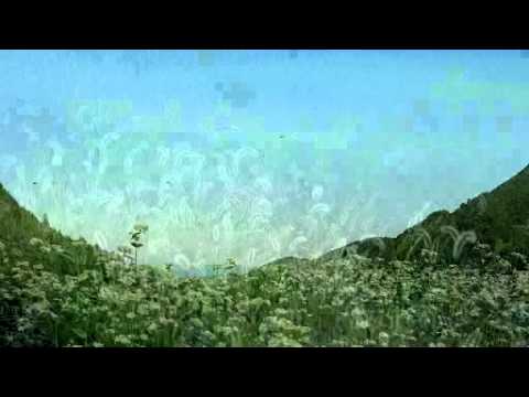 秋の夕暮れ（E-PL3デジタルテレコン）