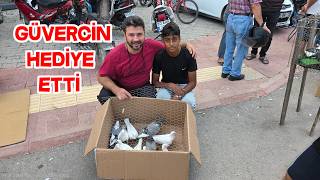 Güvercin Pazarında Hediye Kuş Verdi