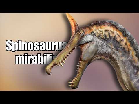 A NEW Spinosaurus Species has Been Discovered!