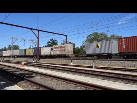 Two blue and white LDP's with 2MB7 - 19/1/16