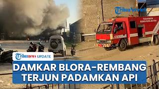 Pabrik Pengolahan Ikan Pati Terbakar Hebat, Damkar Blora hingga Rembang Dikerahkan ke Lokasi