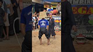 Download lagu ANUSOPATI CANDI REJO jaranan pakem kidalan kalap paling bringas #shots mp3