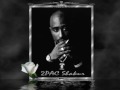 2pac Shed So Many Tears 