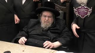 סיום כתיבת האותיות בספר התורה שנכתב לזכות האדמו"ר מבעלזא  | Belz Rebbe Completing New Sefer Torah
