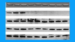 Download lagu 5AD8EEE4C7EDD1648973DBB05D0A34#1 mp3