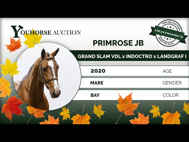 Primrose JB