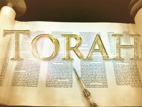 la bestia y el sistema global2