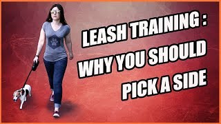 Leash Training a Dog - Why You Should Stay on One Side