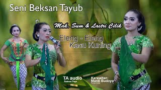 Download lagu TAYUB SRAGEN, ELENG - ELENG, KACU KUNING  MAK SUM & LASTRI CILIK mp3