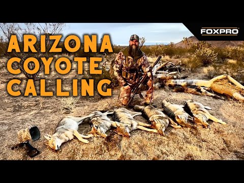 Arizona Coyote Hunting With Big Al & Tom Austin