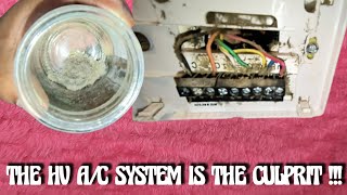 DAMMIT, I CANT BREATHE!!!| Fake Mold Inspections at Lincoln Park Apartments!!! [VLOG 10/11/2025]