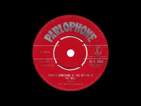There's Something At The Bottom Of The Well- The Moontrekkers (instrumental)