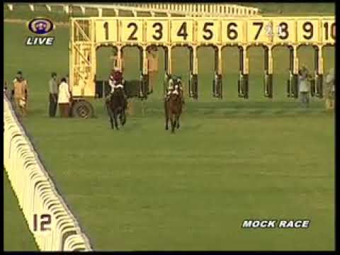 Time Always wins the Mock Race on 13th November 2019