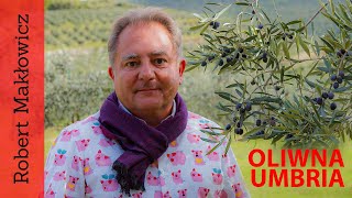 Oliwna Umbria (odc. 69)