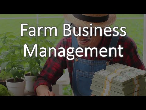 Cash Flow Budget: The Pulse of Financial Health | Community Health